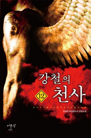 강철의천사(1~12완) 퓨전