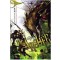 아처 The Archer(1~6완)게임