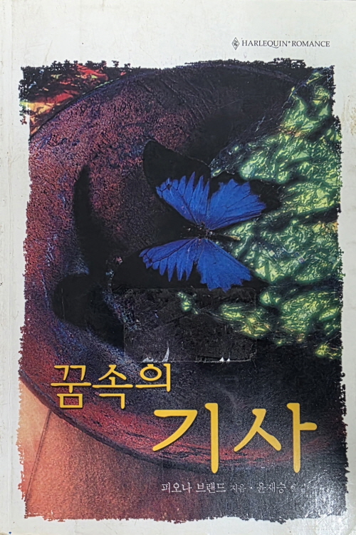 꿈속의 기사 (SR-111)