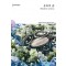 유혹의 춤 (HQ-937)