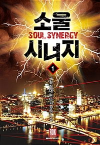 소울시너지(1~7완) 현대