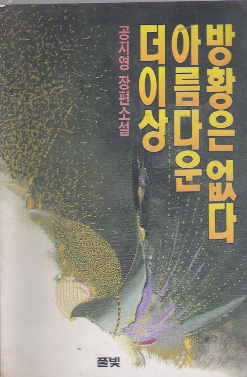 더이상아름다운방황은없다(공지영)