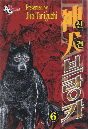 신견브랑카