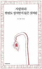 사랑하라한번도상처받지않은것처럼(단편) 류시화