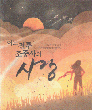 어느 전투 조종사의 사랑