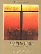 사랑의두갈래길(Q-147)