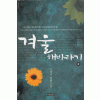 겨울해바라기