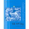 얼음속의불꽃(V-084)