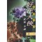 호화대협1부(1~3완)+2부(1~3완) 총6권
