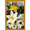 비서의 사생활(HQ-321)