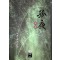 고야(1~3완)