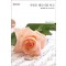 사랑은멜로디를타고(HQ-650)