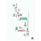 일상의초대(단편)다미레