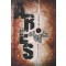 아레스ARES